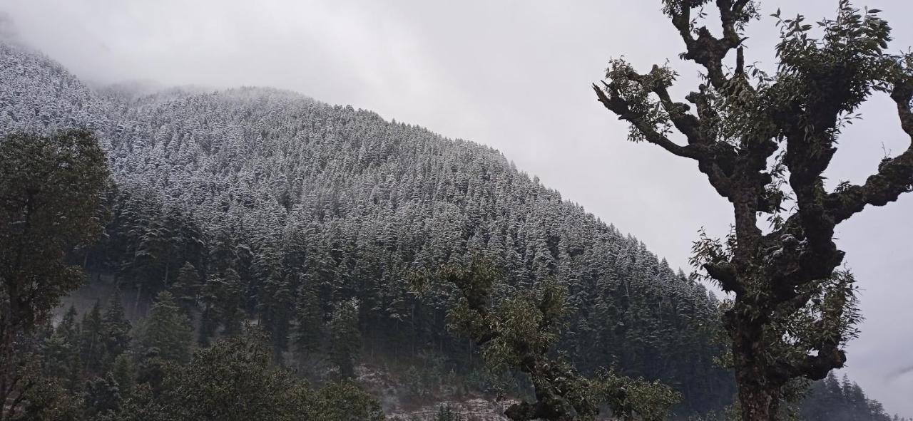 Mozo Inn&Cafe Jibhi Banjār Dış mekan fotoğraf