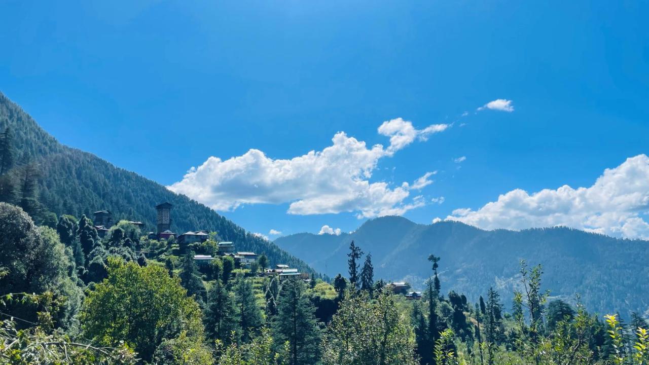 Mozo Inn&Cafe Jibhi Banjār Dış mekan fotoğraf