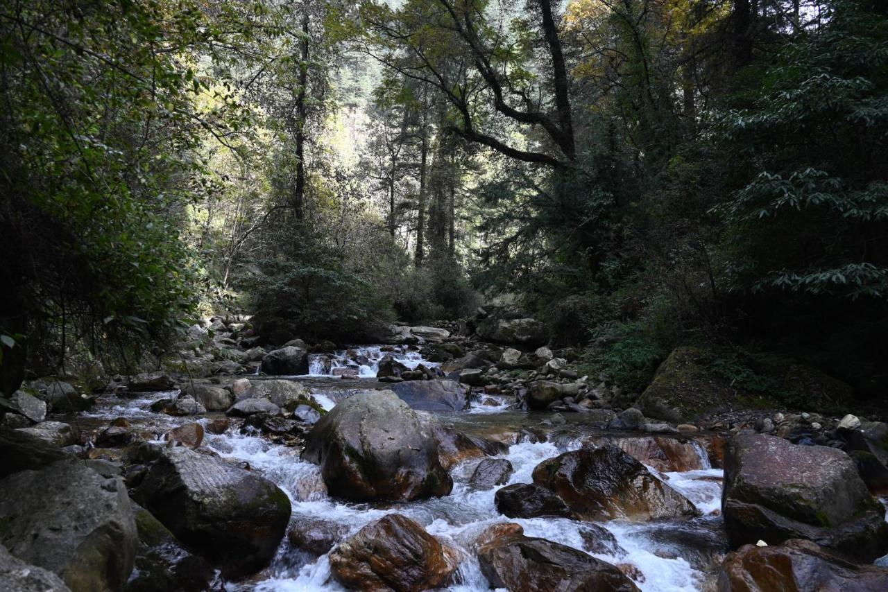 Mozo Inn&Cafe Jibhi Banjār Dış mekan fotoğraf