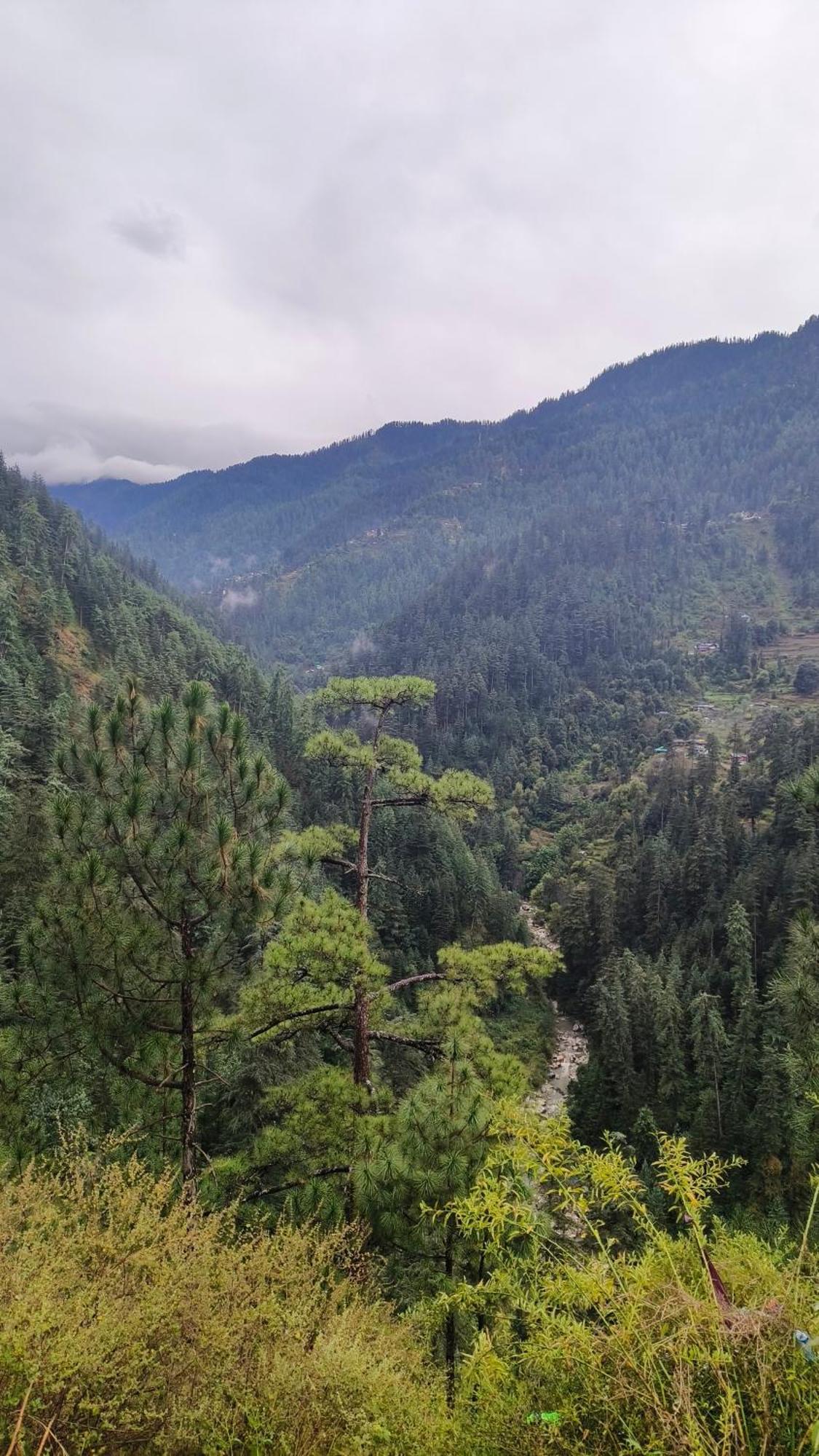 Mozo Inn&Cafe Jibhi Banjār Dış mekan fotoğraf